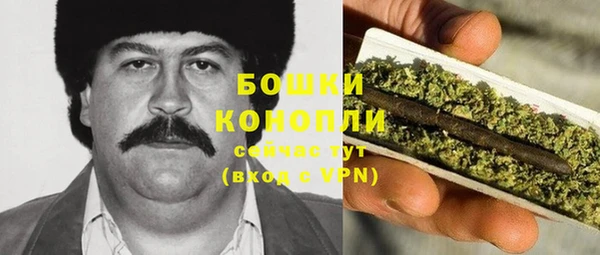 PSILOCYBIN Алексеевка
