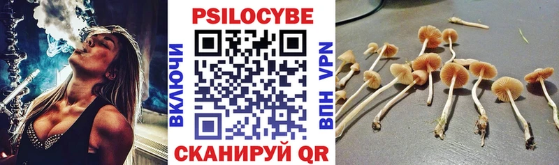 закладки  Ардатов  МЕГА ТОР  Галлюциногенные грибы мицелий 